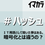 ハッシュドビーフとかハッシュタグとかハッシュハッシュし過ぎてゲシュ崩壊中、小さいツがまともみ見れない…。ぐふっ